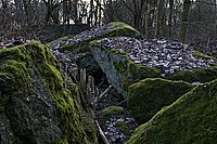 Bernhard Saalfeld - DSC05271 -1.jpg